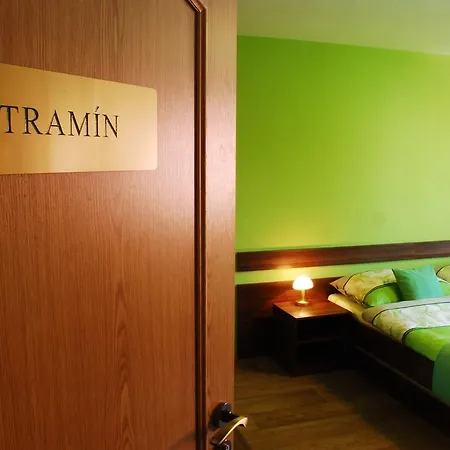 Guest house Vinarstvi Pastorek Cejkovice (Hodonin)